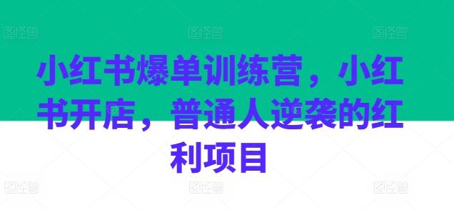 小红书爆单训练营，小红书开店，普通人逆袭的红利项目-创薯资源