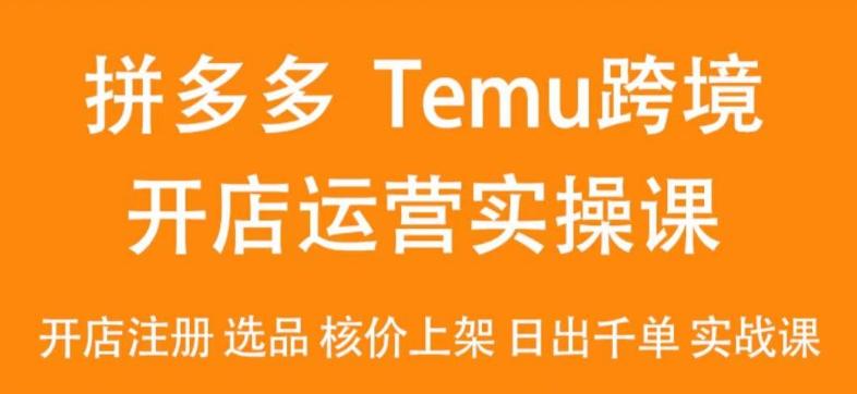 2024Temu最新玩法，Temu跨境开店运营实操课，开店注册/选品/核价上架/日出千单实战课-创薯资源