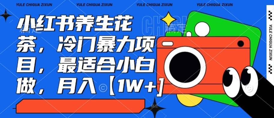 小红书养生花茶，冷门暴力项目，最适合小白做，月入【1W+】-创薯资源