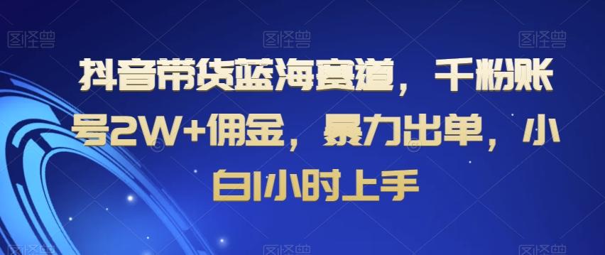 抖音带货蓝海赛道，千粉账号2W+佣金，暴力出单，小白1小时上手【揭秘】-创薯资源