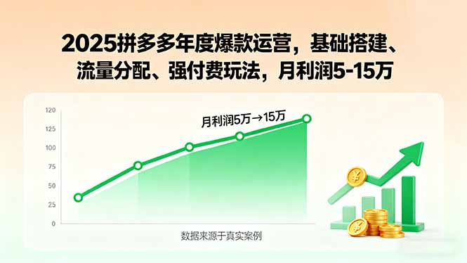 2025拼多多年度爆款运营，基础搭建、流量分配、强付费玩法，月利润5-15万-创薯资源