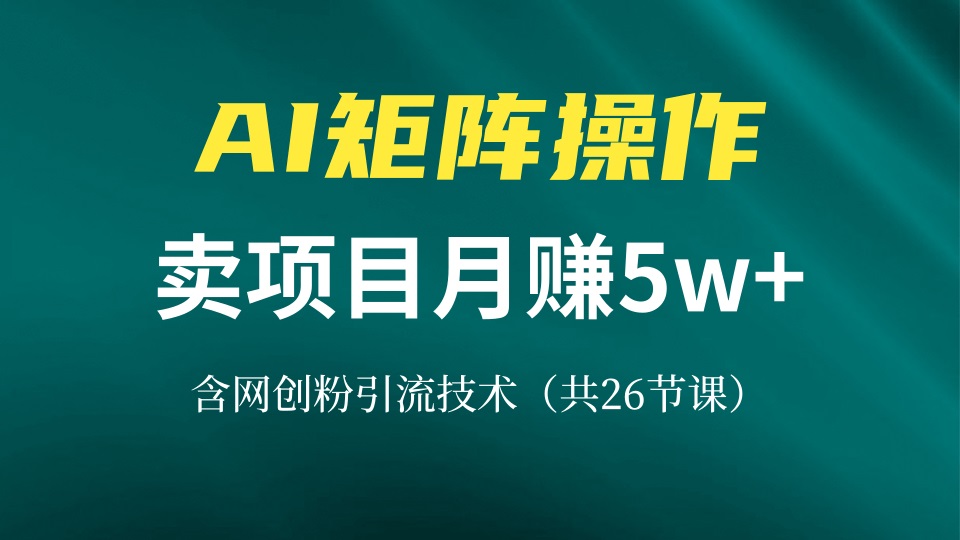网创IP打造课，借助AI卖项目月赚5万+，含引流技术(共26节课-创薯资源