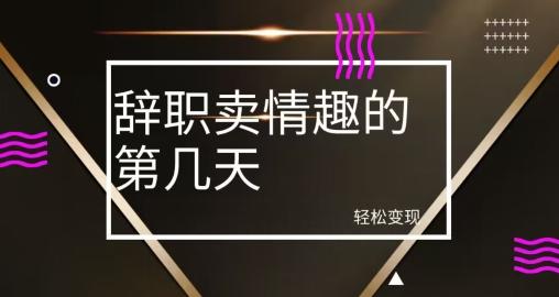 冷门赛道，辞职卖情趣的第几天，超暴力项目-创薯资源