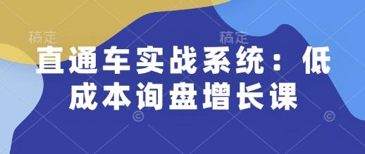 直通车实战系统：低成本询盘增长课，让个人通过技能实现升职加薪，让企业低成本获客，订单源源不断-创薯资源