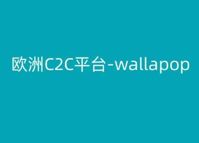 欧洲C2C平台-wallapop-kim跨境电商教程-创薯资源