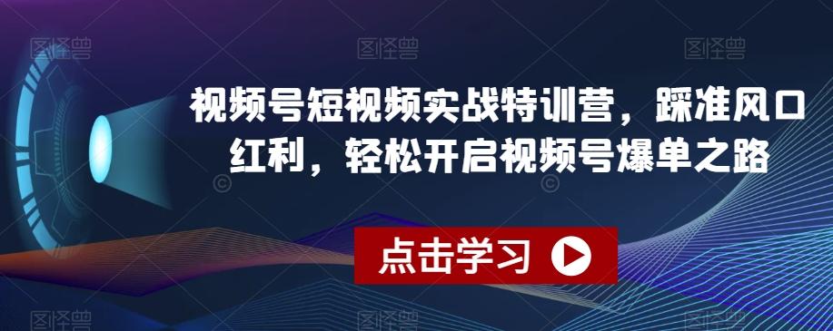 视频号短视频实战特训营，踩准风口红利，轻松开启视频号爆单之路-创薯资源