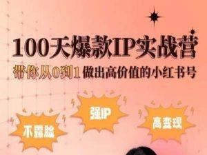 小红书100天爆款IP实战营，带你从0到1做出高价值的小红书号-创薯资源