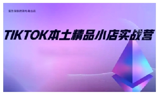 TikTok本土精品小店出海实战营，从入门到高阶，不止0-1!-创薯资源