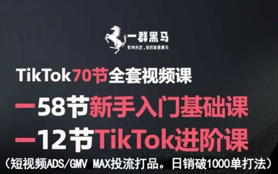 TikTok全套视频课，新手入门+进阶课，短视频ADS-GMV MAX投流打品，日销破1000单打法-创薯资源