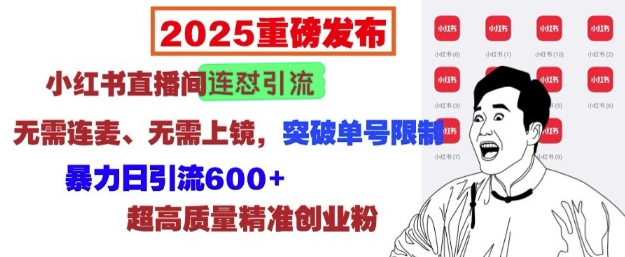 2025重磅发布：小红书直播间连怼引流，无需连麦、无需上镜，突破单号限制，暴力日引流600+-创薯资源