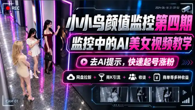 小小鸟颜值监控第四期，监控中的AI美女视频教学，去AI提示，快速起号涨粉，网盘拉新+商K引流+收徒+商单等多种收益-创薯资源