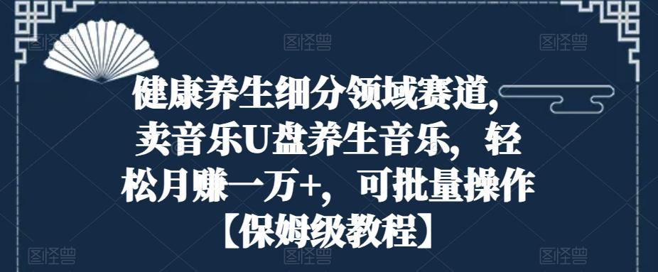 健康养生细分领域赛道，卖音乐U盘养生音乐，轻松月赚一万+，可批量操作【保姆级教程】-创薯资源