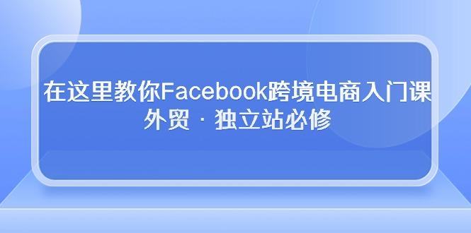 在这里教你Facebook跨境电商入门课，外贸·独立站必修-创薯资源