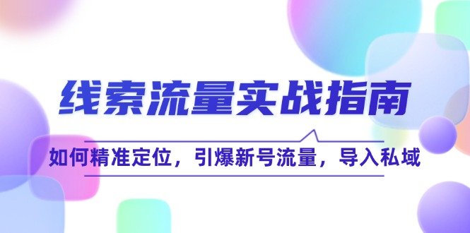 线 索 流 量-实战指南：如何精准定位，引爆新号流量，导入私域-创薯资源