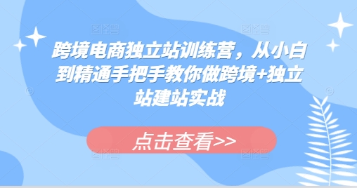 跨境电商独立站训练营，从小白到精通手把手教你做跨境+独立站建站实战-创薯资源