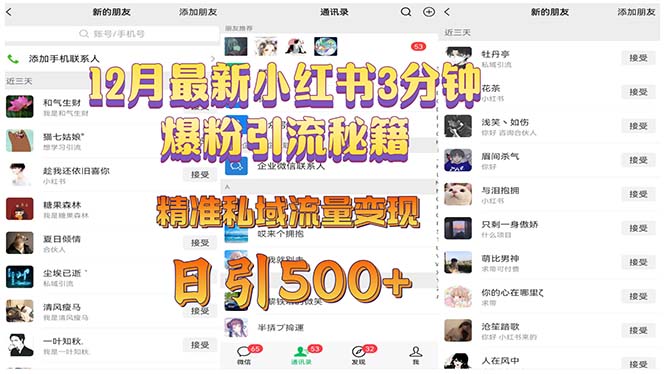 12月最新小红书3分钟爆粉引流秘籍 精准私域流量变现 日引500+-创薯资源