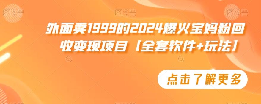 外面卖1999的2024爆火宝妈粉回收变现项目【全套软件+玩法】【揭秘】-创薯资源