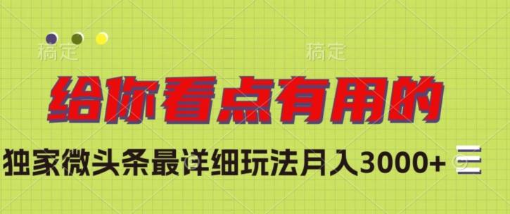 独家微头条最详细玩法，月入3000+【揭秘】-创薯资源
