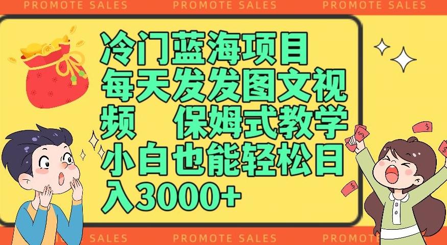 冷门蓝海项目，每天发发图文视频，保姆式教学，小白也能轻松日入3000+-创薯资源