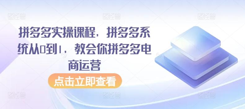 拼多多实操课程，拼多多系统从0到1，教会你拼多多电商运营-创薯资源