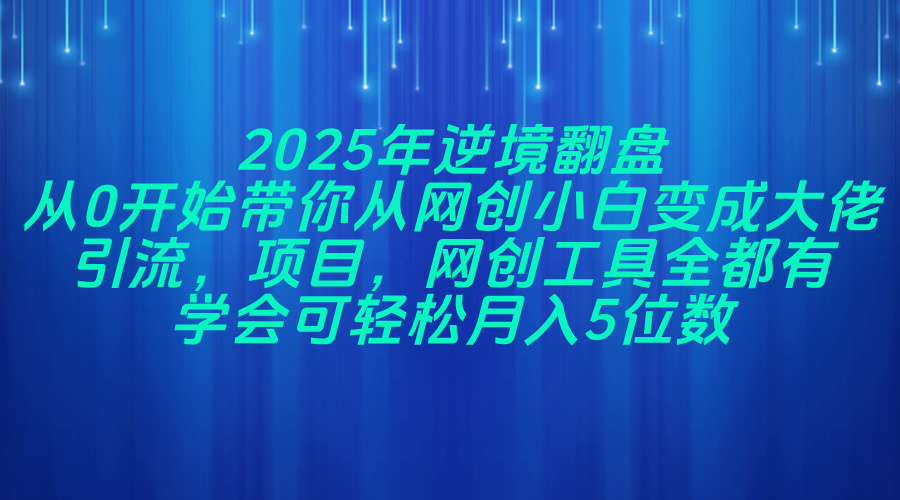 2025年逆境翻盘，从0开始带你从网创小白变成大佬，引流，项目，网创工…-创薯资源