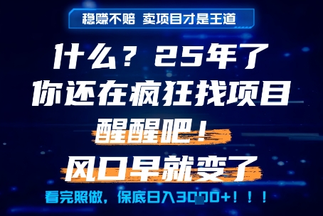 什么？25年你还在疯狂找项目做，醒醒吧，看完这些你全都懂了！【揭秘】-创薯资源