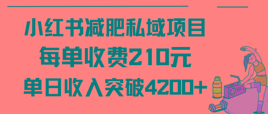 (9466期)小红书减肥私域项目每单收费210元单日成交20单，最高日入4200+-创薯资源