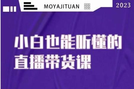 大威本威·能听懂的直播带货课，小白也能听懂，20节完整-创薯资源