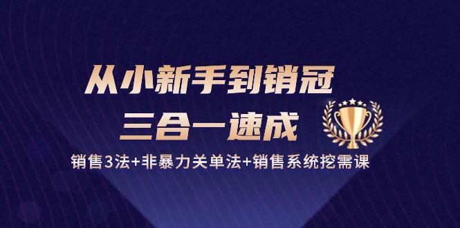从小新手到销冠 三合一速成：销售3法+非暴力关单法+销售系统挖需课 (27节-创薯资源