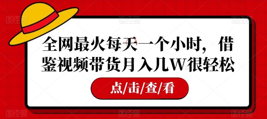 全网最火每天一个小时，借鉴视频带货月入几W很轻松【揭秘】-创薯资源
