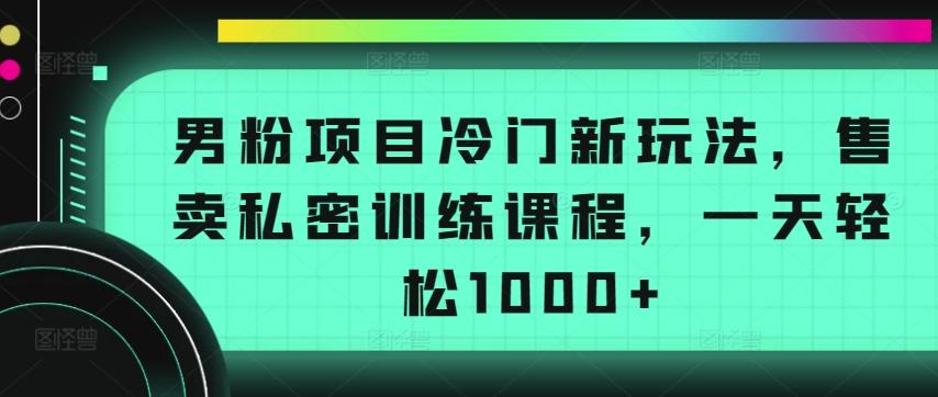 男粉项目冷门新玩法，售卖私密训练课程，一天轻松1000+【揭秘】-创薯资源