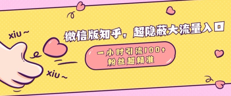 微信版知乎，超隐蔽流量入口1小时引流100人，粉丝质量超高【揭秘】-创薯资源