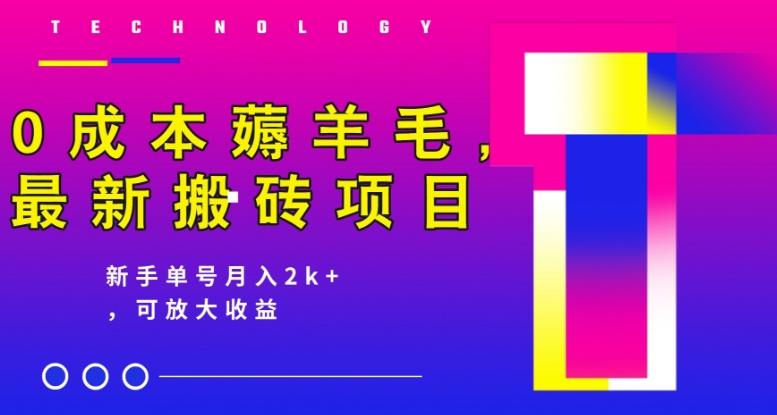 0成本薅羊毛，最新搬砖项目，新手单号月入2k+，可放大操作-创薯资源