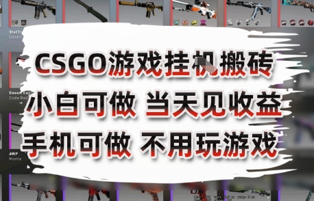 CSGO游戏挂G搬砖，小白纯手机即可操作，不用电脑打游戏，日入3张+，副业网创项目【揭秘】-创薯资源