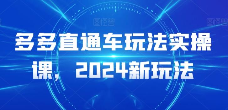 多多直通车玩法实操课，2024新玩法-创薯资源