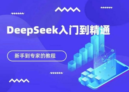 DeepSeek快速从入门到精通，新手的保姆级教程-创薯资源