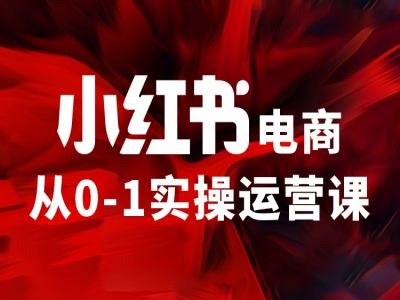 小红书电商从0-1实操运营课，让你从小白到精英-创薯资源