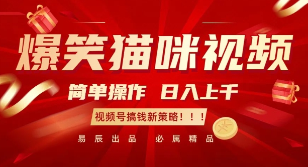 爆笑猫咪视频：简单操作，日入过K，视频号搞钱新策略【揭秘】-创薯资源