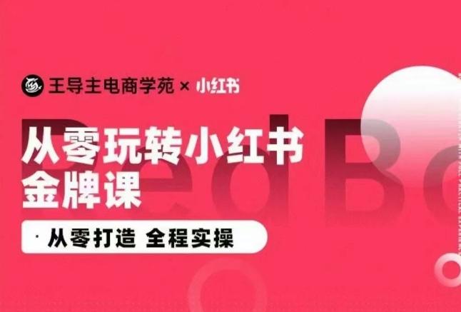 王导主·小红书电商运营实操课，​从零打造  全程实操-创薯资源