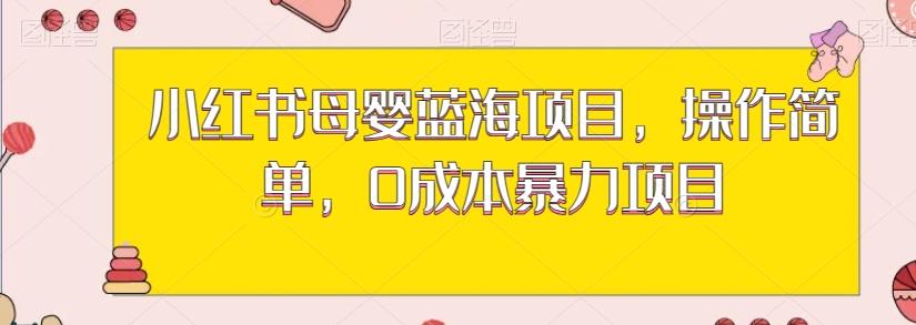 小红书母婴蓝海项目，操作简单，0成本暴力项目-创薯资源