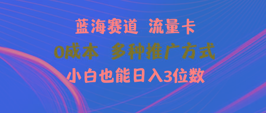 蓝海赛道 流量卡 0成本 小白也能日入三位数-创薯资源