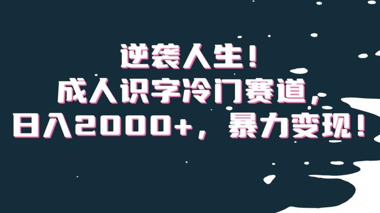 逆袭人生！成人识字冷门赛道，日入2000+，暴力变现！【揭秘】-创薯资源