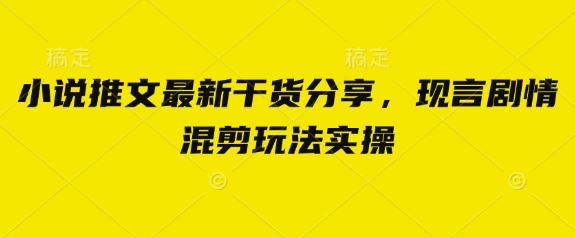 小说推文最新干货分享，现言剧情混剪玩法实操-创薯资源