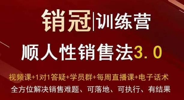 爆款！销冠训练营3.0之顺人性销售法，全方位解决销售难题、可落地、可执行、有结果-创薯资源