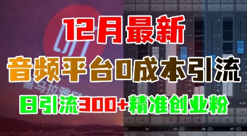 12月最新：音频平台0成本引流，日引流300+精准创业粉-创薯资源