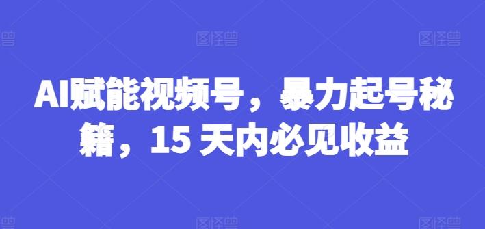 AI赋能视频号，暴力起号秘籍，15 天内必见收益【揭秘】-创薯资源