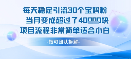 每天稳定引流30个人 当月变成超过了4个W项目流程非常简单适合小白-创薯资源