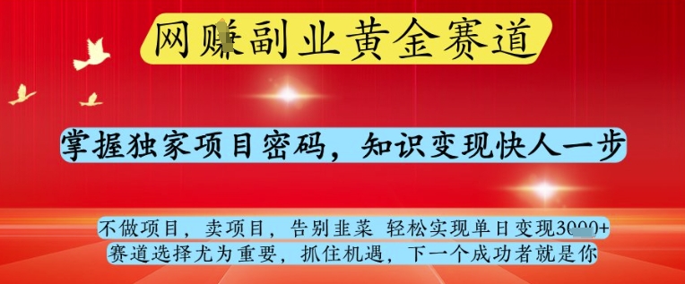 网创副业黄全赛道，掌握独家项目密码，知识变现快人一步，告别韭菜轻松实现单日变现1k+【揭秘】-创薯资源