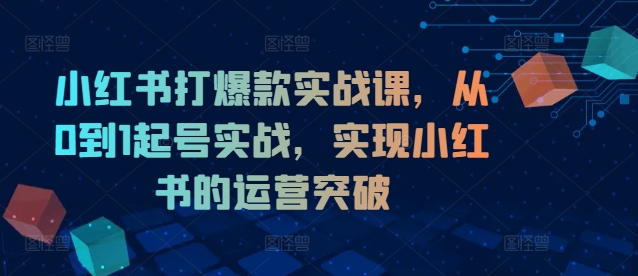 小红书打爆款实战课，从0到1起号实战，实现小红书的运营突破-创薯资源