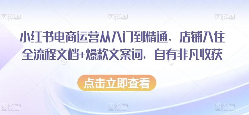 小红书电商运营从入门到精通，店铺入住全流程文档+爆款文案词，自有非凡收获-创薯资源